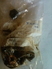PAXMAN Nut ST023505 5310-99-941-0796 Misc